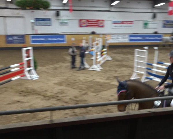Reitturnier Heide 2021