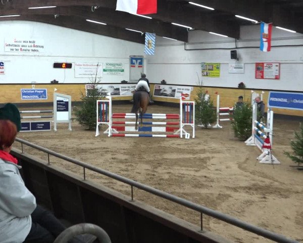 Reitturnier Heide 2021