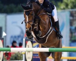 Jumper Lolita de Laubry (Belgian Warmblood, 2011, from Flamenco de Semilly)