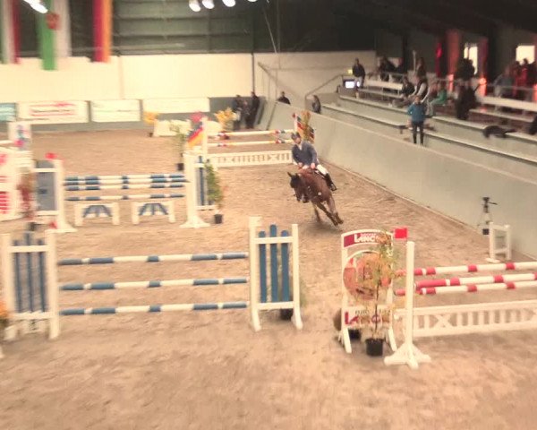 16. Salzkottener Pferdefestival 2016