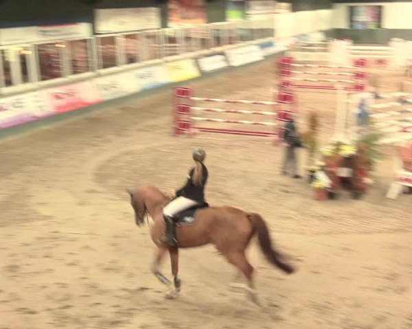 16. Salzkottener Pferdefestival 2016