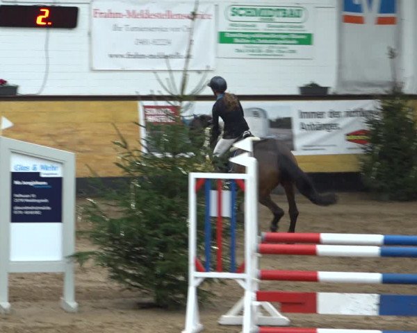 Reitturnier Heide 2021