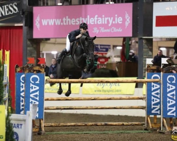 jumper Castlelawn Captain Junior (Irish Sport Horse, 2011, from Captain Clover)