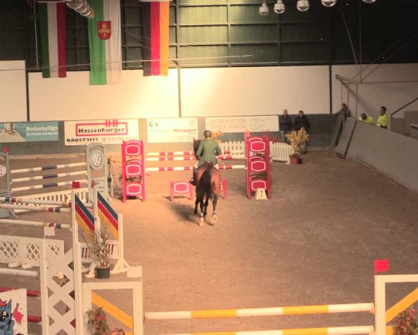 16. Salzkottener Pferdefestival 2016