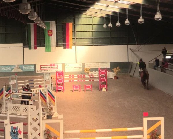 16. Salzkottener Pferdefestival 2016