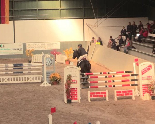 16. Salzkottener Pferdefestival 2016