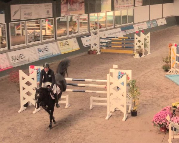 16. Salzkottener Pferdefestival 2016