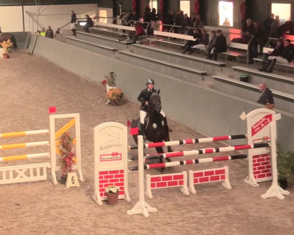 16. Salzkottener Pferdefestival 2016