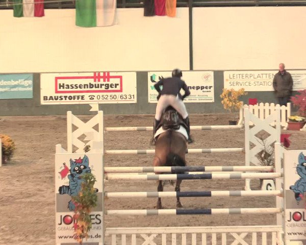16. Salzkottener Pferdefestival 2016