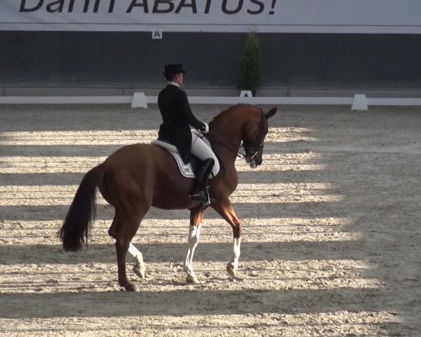 Reitturnier Mönchengladbach-Abtshof 2016