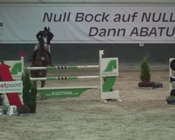 Reitturnier Mönchengladbach-Abtshof 2016