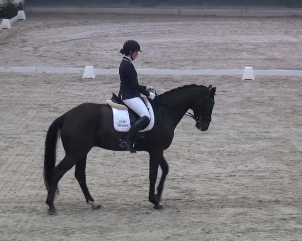 Reitturnier Mönchengladbach-Abtshof 2016