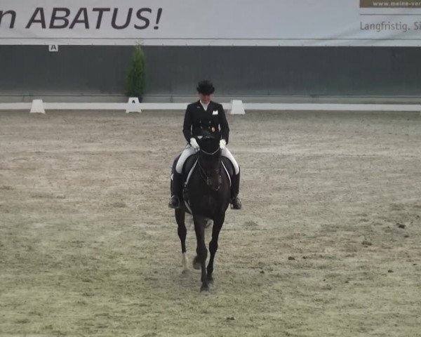 Reitturnier Mönchengladbach-Abtshof 2016