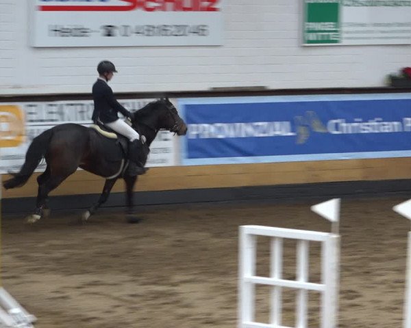 Reitturnier Heide 2021