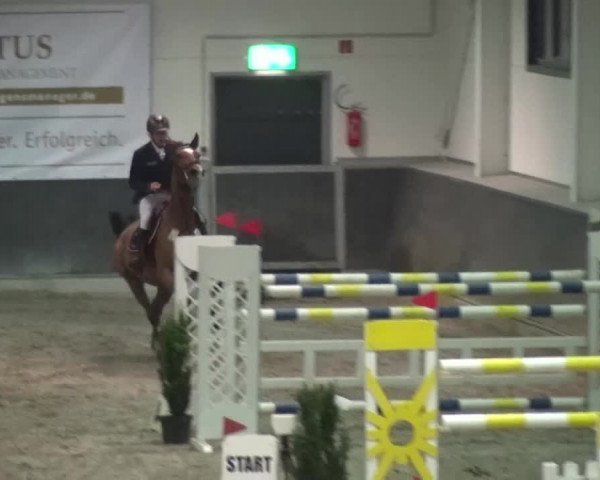 Reitturnier Mönchengladbach-Abtshof 2016