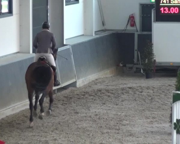 Reitturnier Mönchengladbach-Abtshof 2016