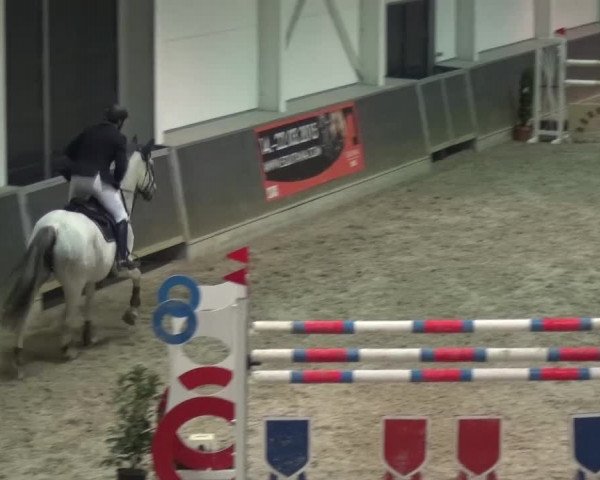 Reitturnier Mönchengladbach-Abtshof 2016