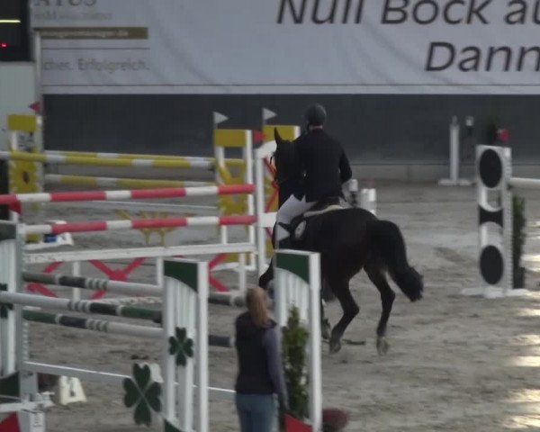 Reitturnier Mönchengladbach-Abtshof 2016