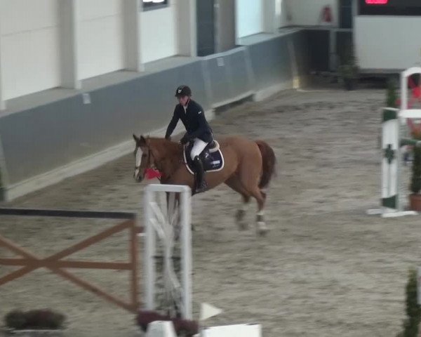 Reitturnier Mönchengladbach-Abtshof 2016