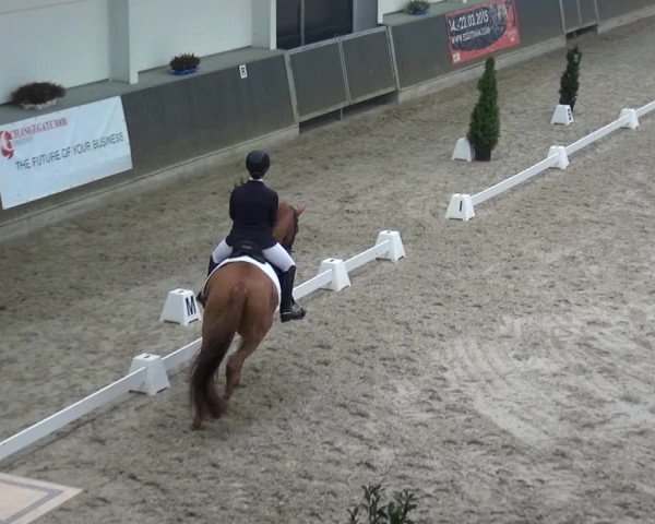 Reitturnier Mönchengladbach-Abtshof 2016