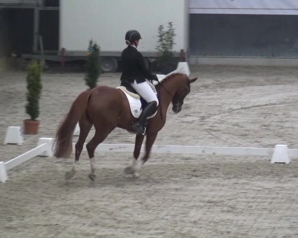 Reitturnier Mönchengladbach-Abtshof 2016