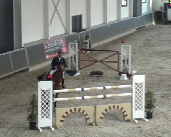 Reitturnier Mönchengladbach-Abtshof 2016