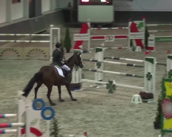 Reitturnier Mönchengladbach-Abtshof 2016