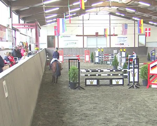 Reitturnier St. Peter Ording 2016