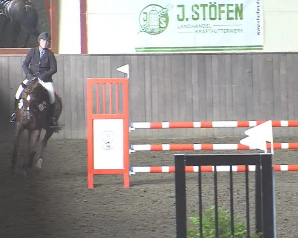 Reitturnier St. Peter Ording 2016