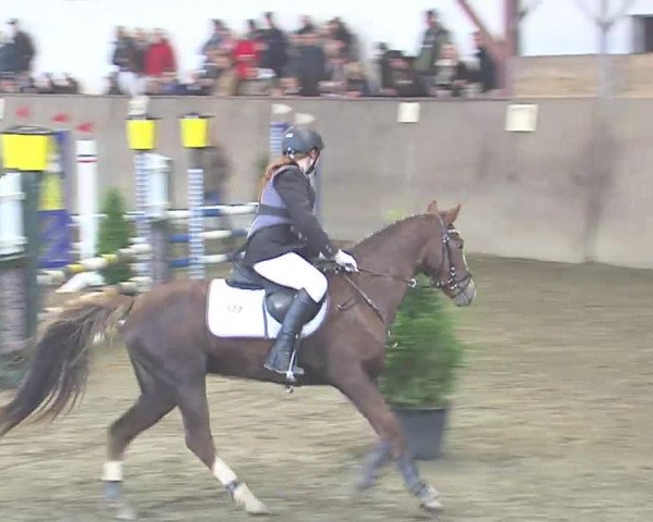 Reitturnier St. Peter Ording 2016