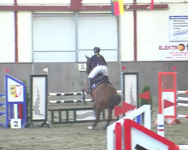 Reitturnier St. Peter Ording 2016
