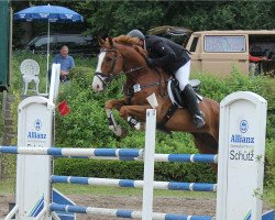 stallion Chablis (Westphalian, 2010, from Chacco-Blue)