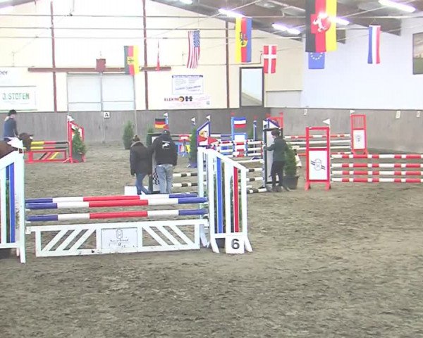 Reitturnier St. Peter Ording 2016
