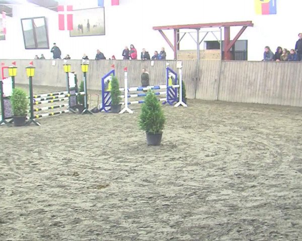 Reitturnier St. Peter Ording 2016
