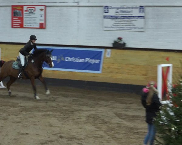 Reitturnier Heide 2021