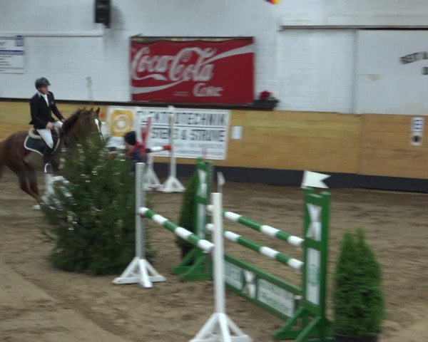 Reitturnier Heide 2021