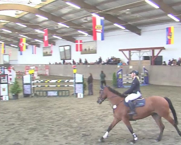 Reitturnier St. Peter Ording 2016