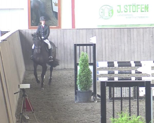 Reitturnier St. Peter Ording 2016