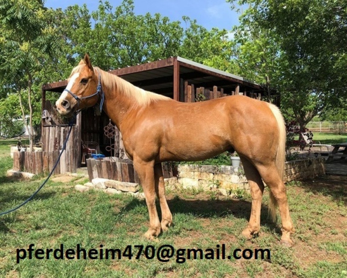 Tuff As A Diamond: Cheval, Pedigree