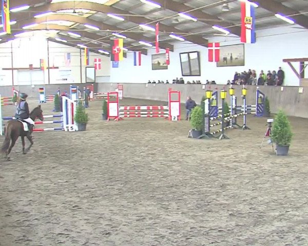 Reitturnier St. Peter Ording 2016