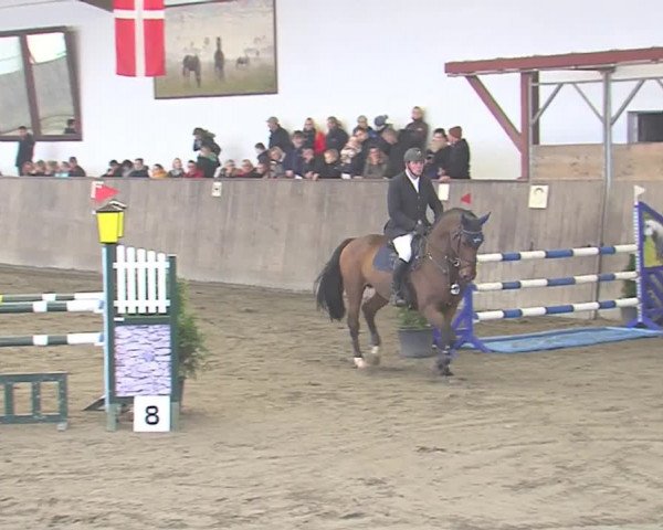 Reitturnier St. Peter Ording 2016
