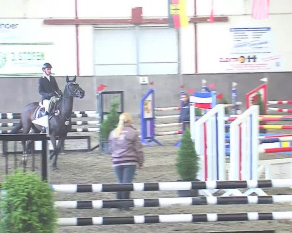 Reitturnier St. Peter Ording 2016