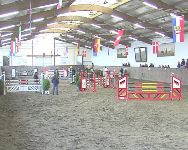 Reitturnier St. Peter Ording 2016