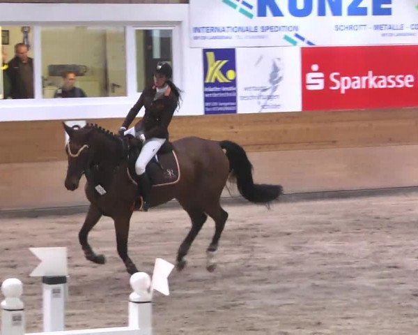 Springturnier Langenau 2016