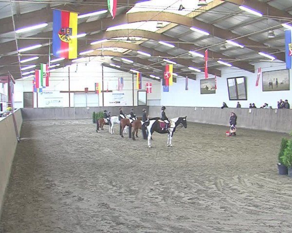 Reitturnier St. Peter Ording 2016