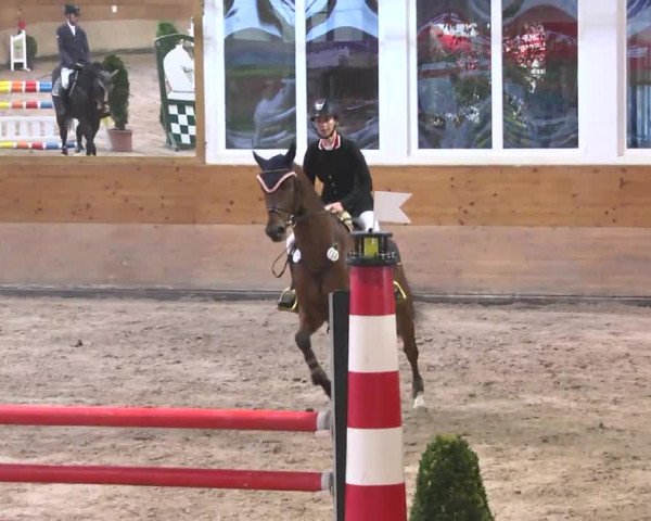 Springturnier Langenau 2016