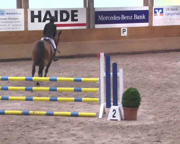 Springturnier Langenau 2016