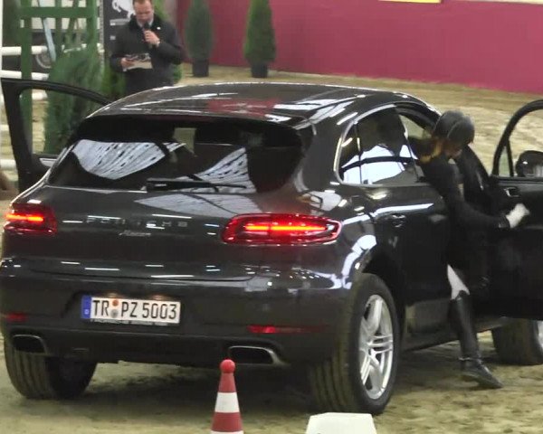 Reitturnier Trier - Hofgut Monaise 2016