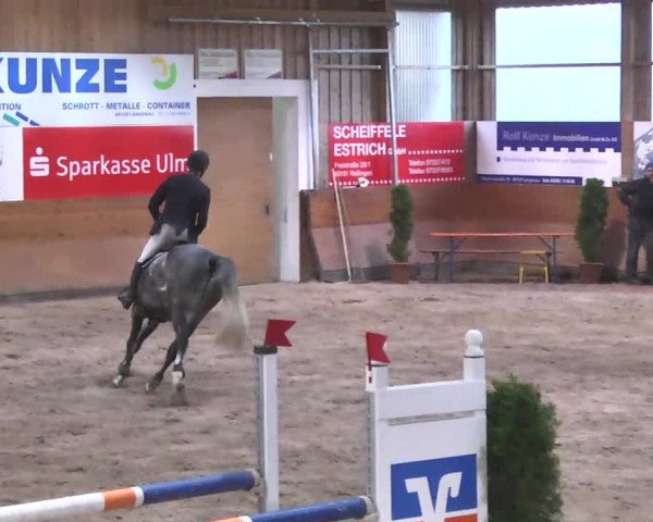 Springturnier Langenau 2016