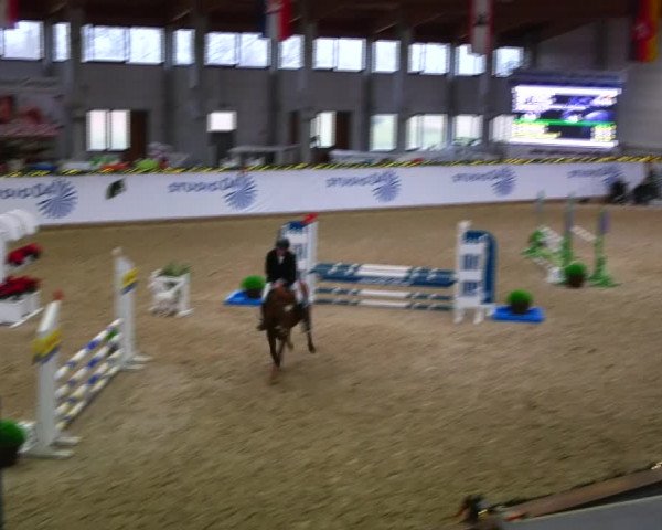 Christmas Jumping Trophy Prussendorf 2021